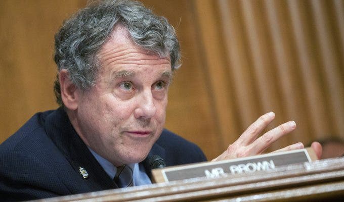 CRYPTOCURRENCY BLUES: Sen. Sherrod Brown say federal ban on crypto is a "maybe"