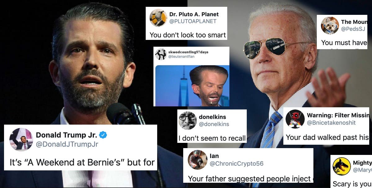 Twitter users dogpile Trump Jr. over his intelligence after he insults ...