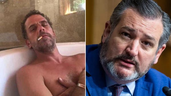 NEW LOW: Ted Cruz stoops to posting nude photo of Hunter Biden
