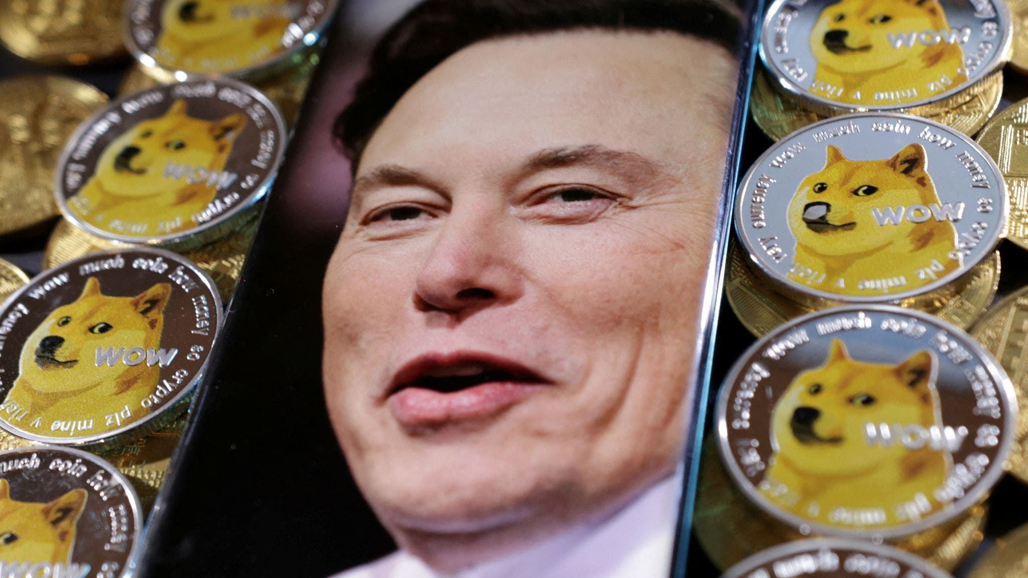dogecoin musk sued
